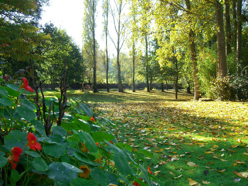 Maison - 114 m² - 5 pièces