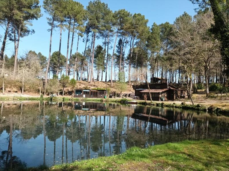 Propriété - 81 m² - 4 pièces