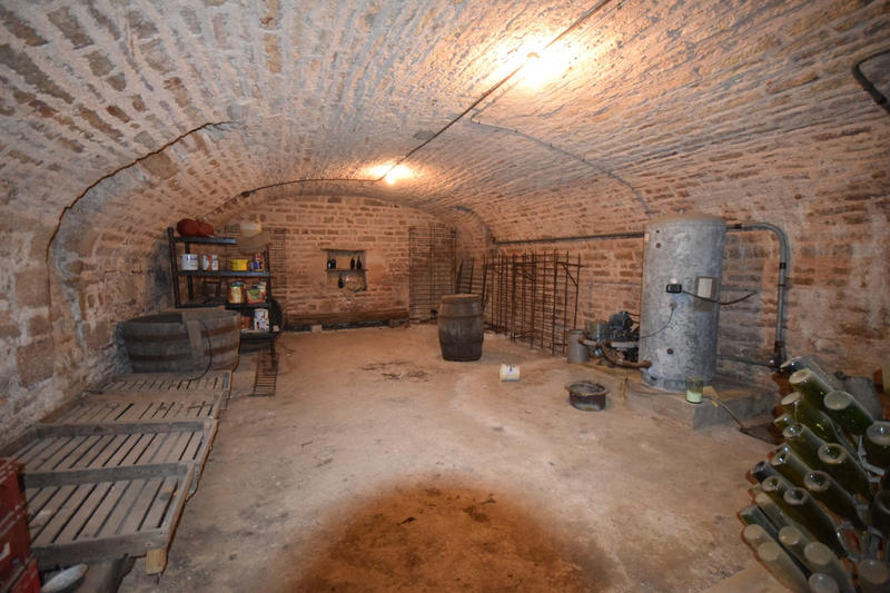 Viager - Maison ancienne - 242 m² - 10 pièces