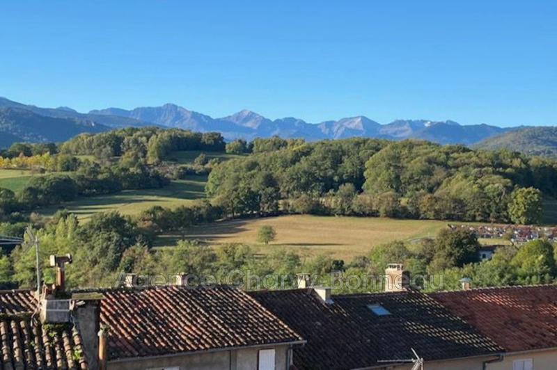 Maison de ville - 355 m² - 12 pièces