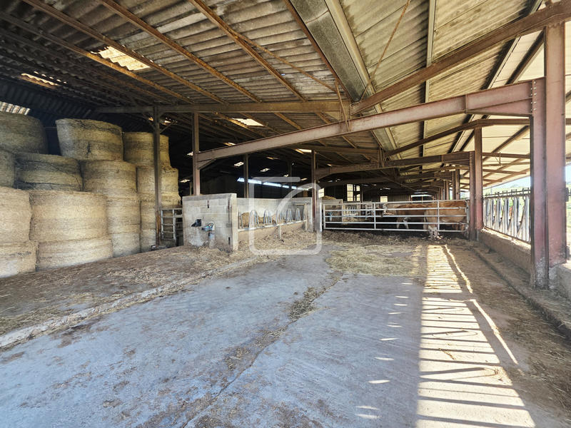 Maison - 156 m² - 7 pièces