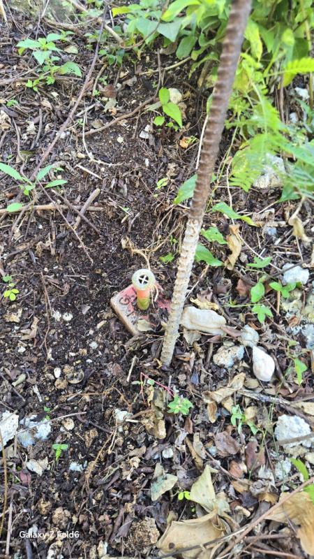 Terrain constructible - 3 000 m²