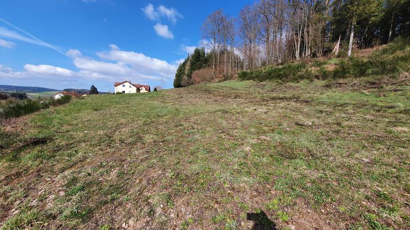 Terrain - 991 m²