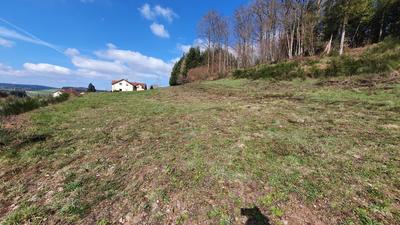 Terrain - 991 m²