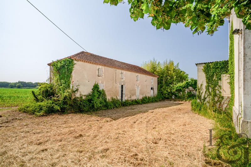 Maison - 250 m² - 9 pièces