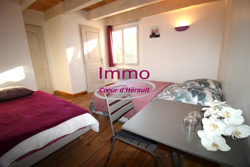 Maison - 365 m² - 14 pièces