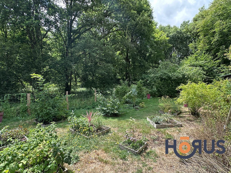 Viager - Maison - 205 m² - 9 pièces