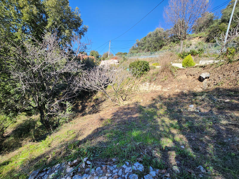 Terrain - 3 830 m²