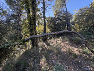 Terrain agricole - 29 000 m²