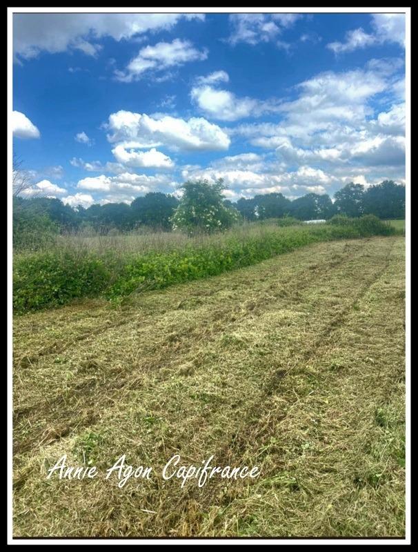 Terrain constructible - 1 513 m²