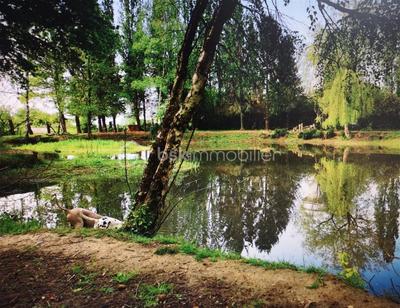 Propriété - 326 m² - 11 pièces