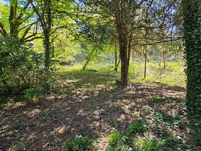 Terrain - 750 m²