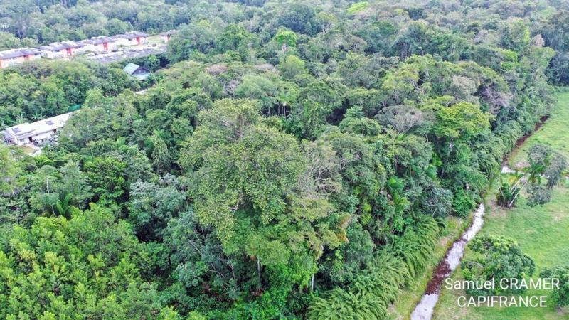 Terrain constructible - 15 000 m²