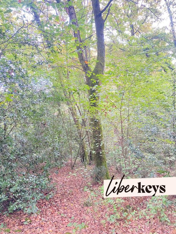 Terrain - 12 800 m²