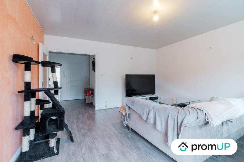 Appartement - 55 m² - 2 pièces