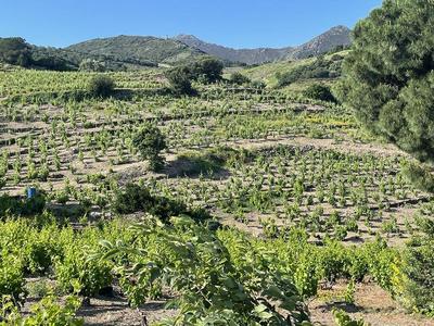 Terrain - 24 000 m²