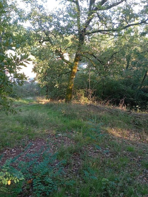 Terrain de loisirs - 1 350 m²