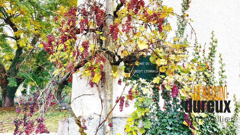 Maison ancienne - 297 m² - 11 pièces