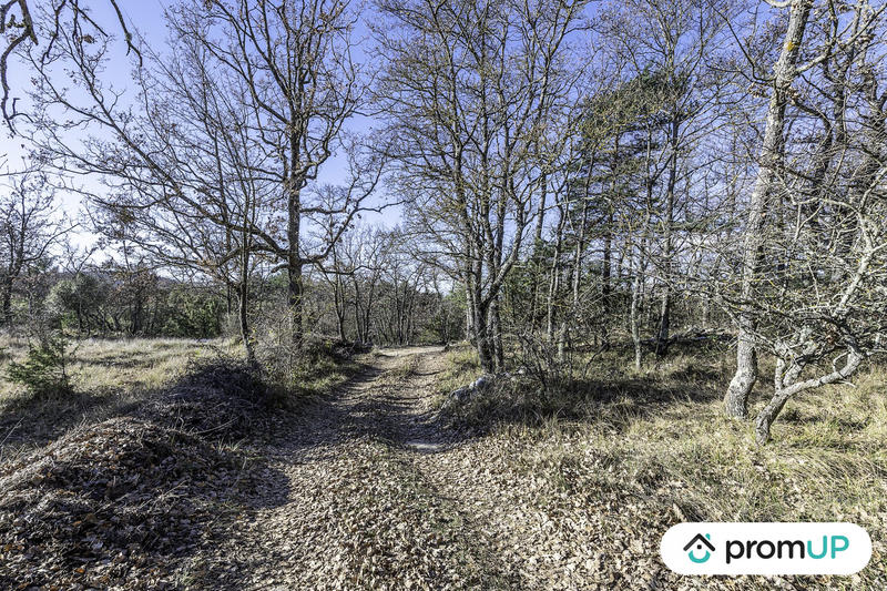 Terrain de loisirs - 28 250 m²