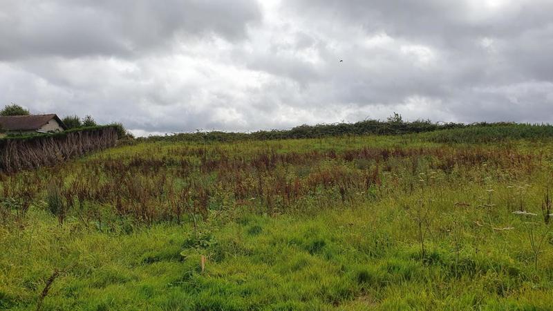 Terrain constructible - 1 435 m²