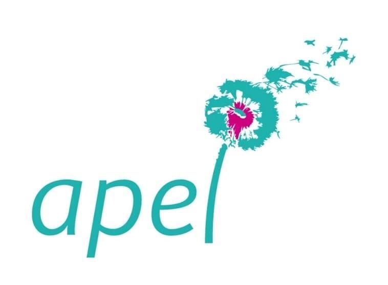 Vide grenier école st louis