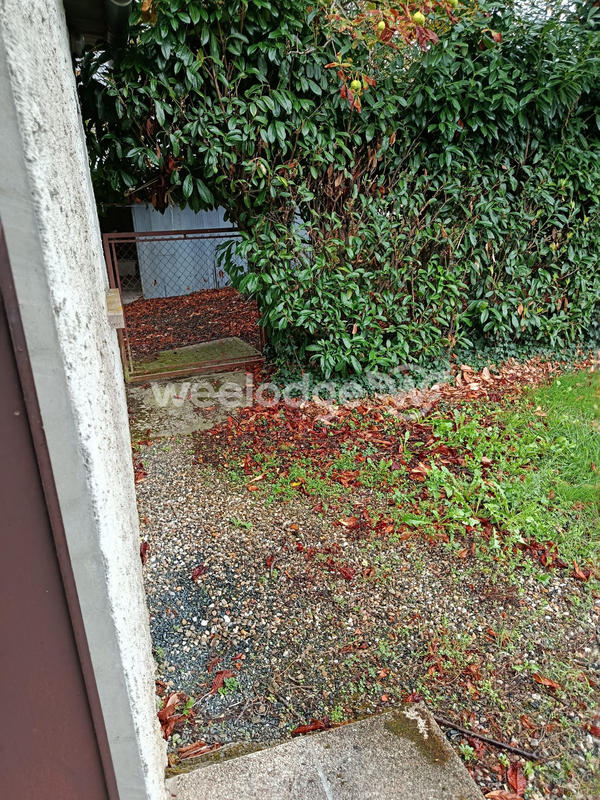 Maison ancienne - 258 m² - 6 pièces