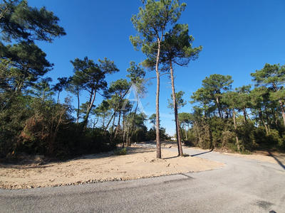 Terrain - 779 m²