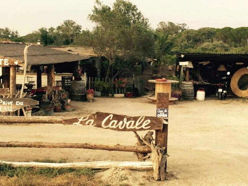 Promenade à cheval la Cavale Rte départementale 38 direction Aigues-Mortes Plage du Grand radeau.