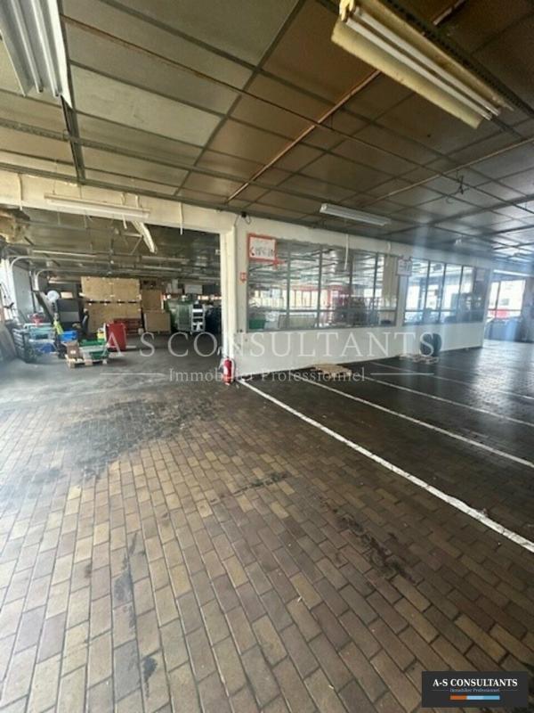 Entrepôt - 1 800 m²