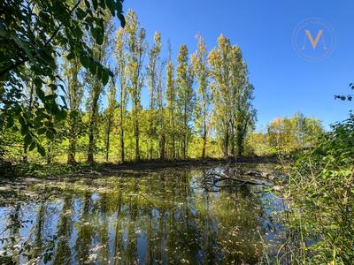 Corps de ferme - 230 m² - 9 pièces