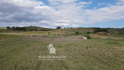 Terrain agricole - 10 460 m²