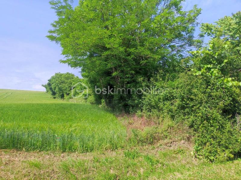 Terrain - 3 630 m²