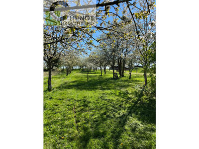 Maison - 236 m² - 5 pièces