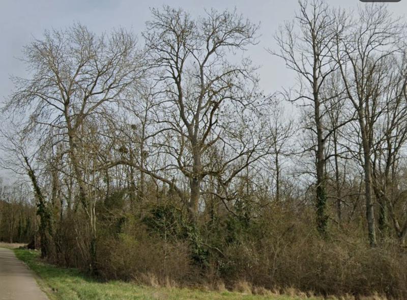 Terrain de loisirs - 2 730 m²