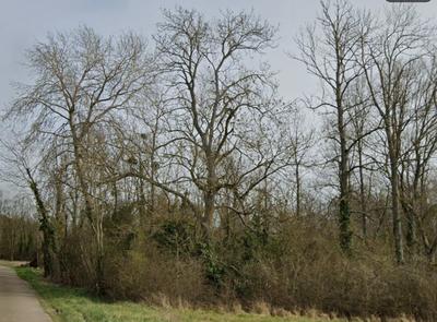 Terrain de loisirs - 2 730 m²