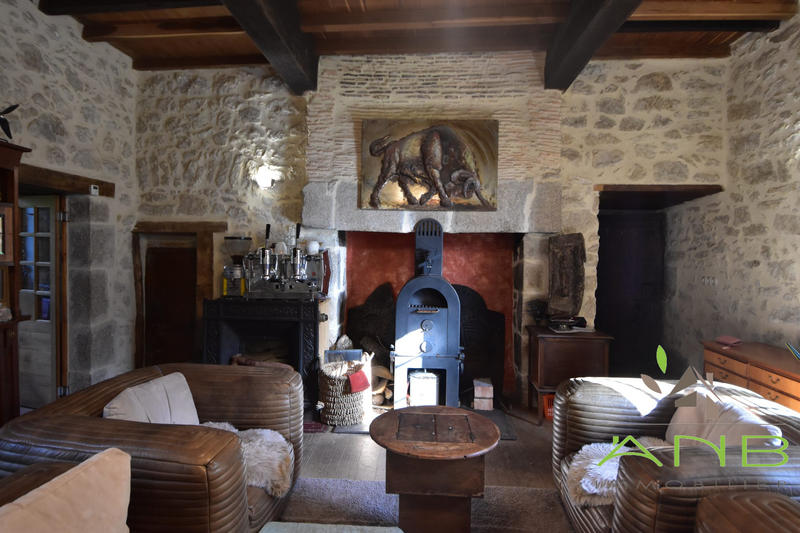 Manoir - 230 m² - 8 pièces