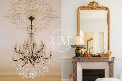 Hôtel particulier - 305 m² - 11 pièces