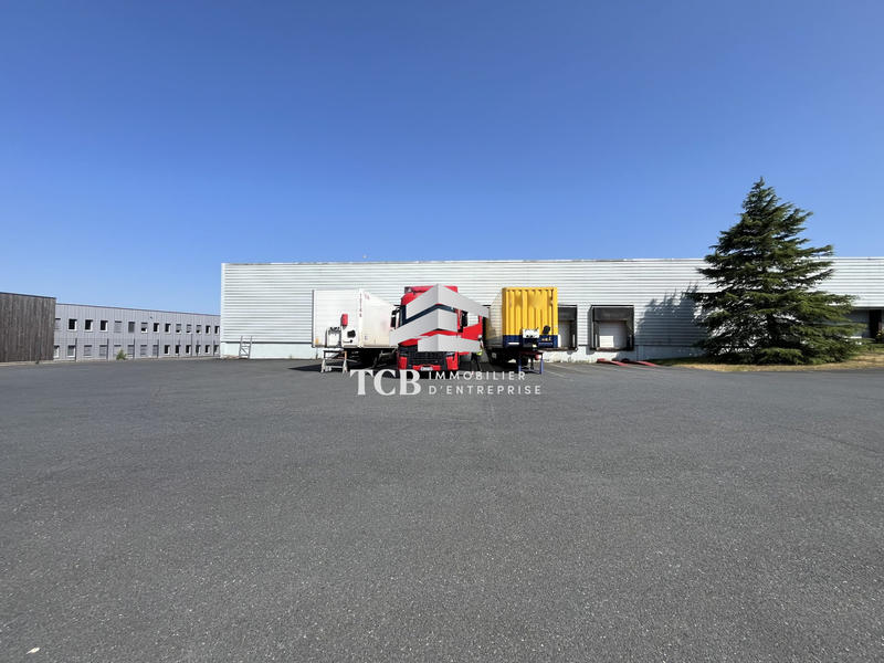 Local d'activités - 5 584 m²