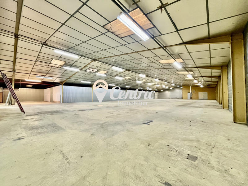 Entrepôt - 897 m²