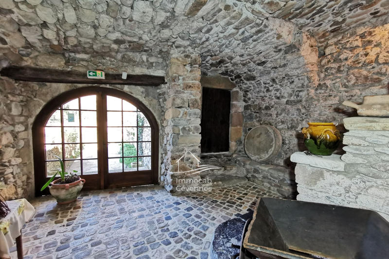 Propriété - 460 m² - 10 pièces