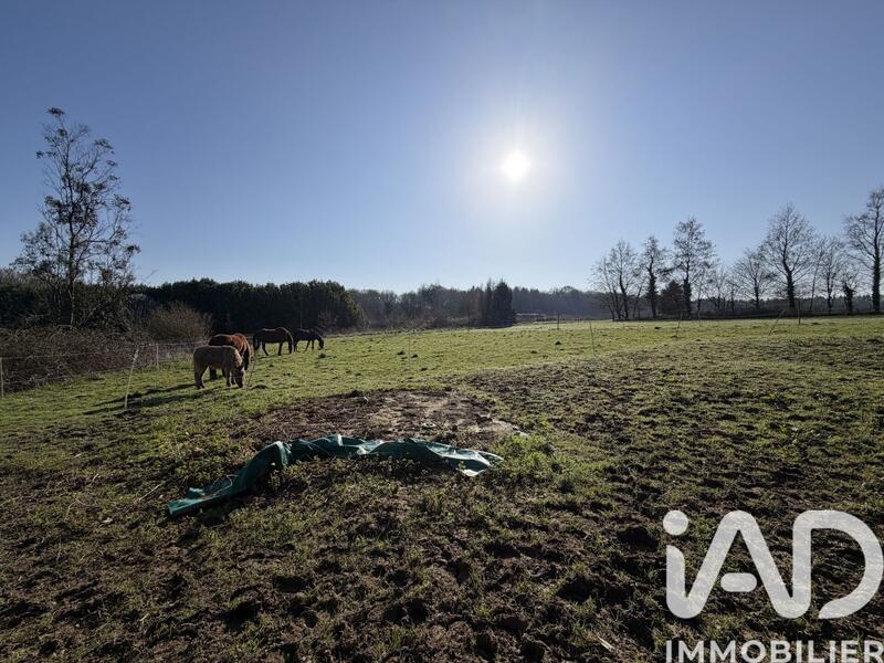 Maison - 301 m² - 6 pièces