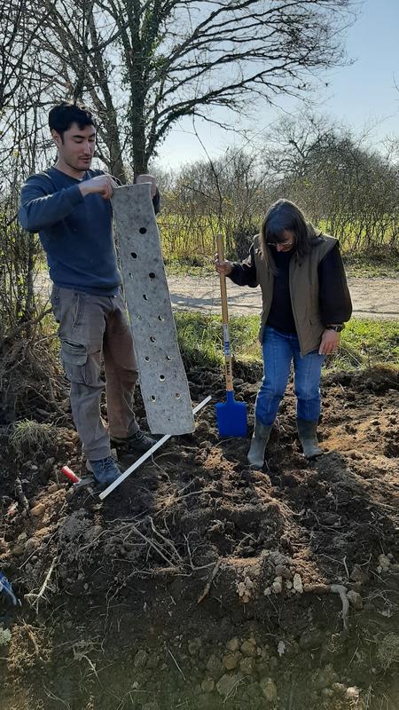 Chantier participatif plantation de haies