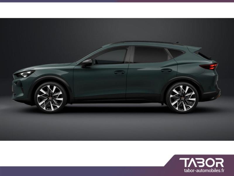 Cupra Formentor Tdi 150 Dsg Nav IntelliD 19p