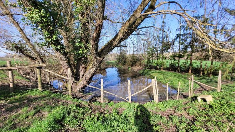 Maison - 132 m² - 5 pièces