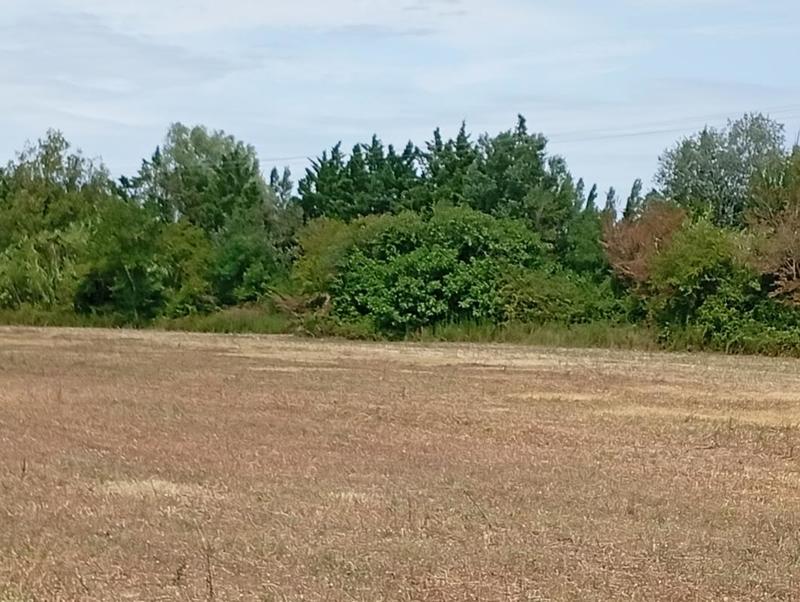Terrain constructible - 500 m²