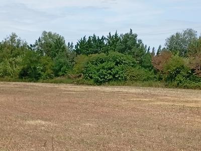 Terrain constructible - 500 m²