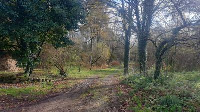 Maison - 173 m² - 4 pièces