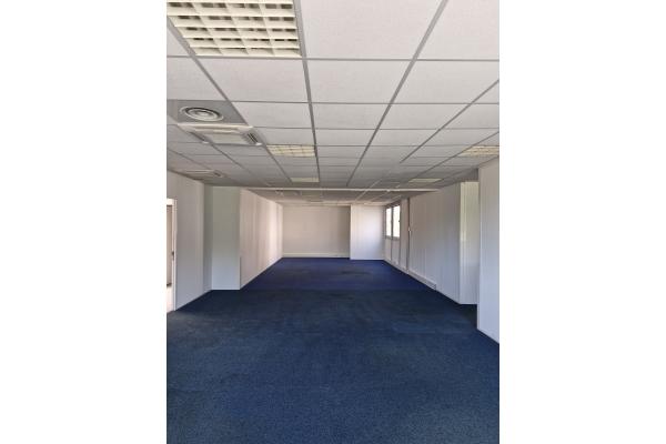 Bureau - 296 m²