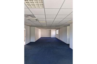 Bureau - 296 m²