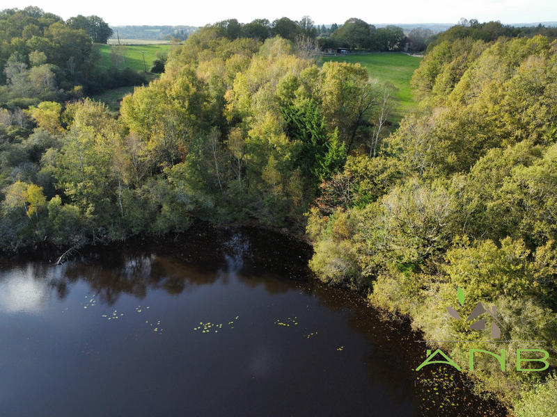 Manoir - 230 m² - 8 pièces